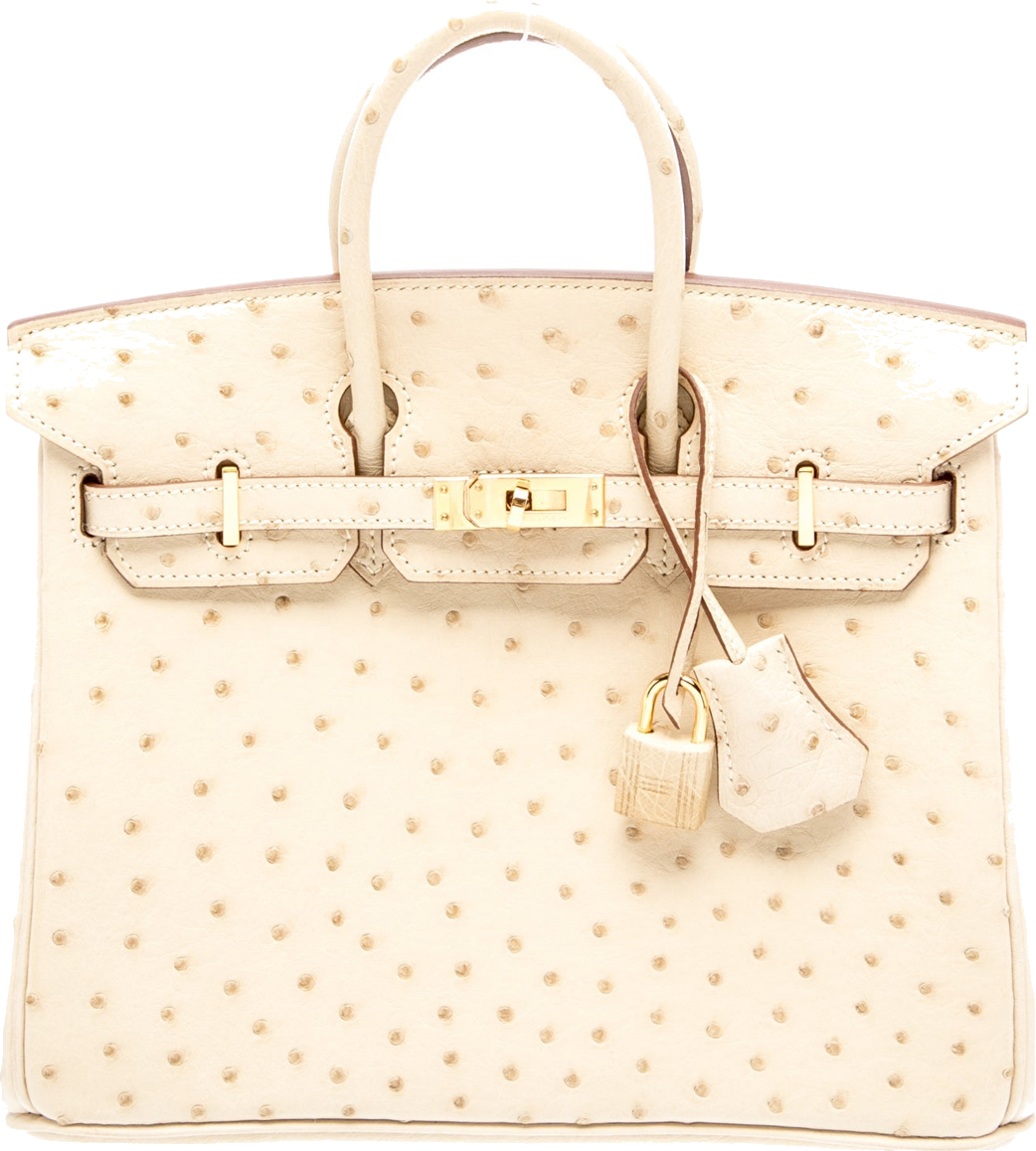 Hermès Ostrich Birkin 25
