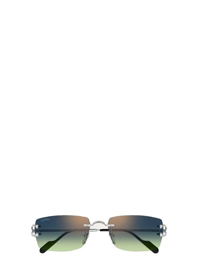 CT0550S-008 Metal Rectangle Sunglasses