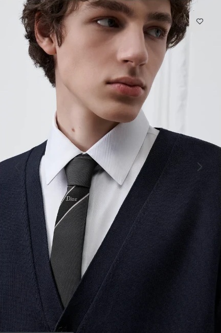 Dior Regimental Tie with Stripe — Deep Gray